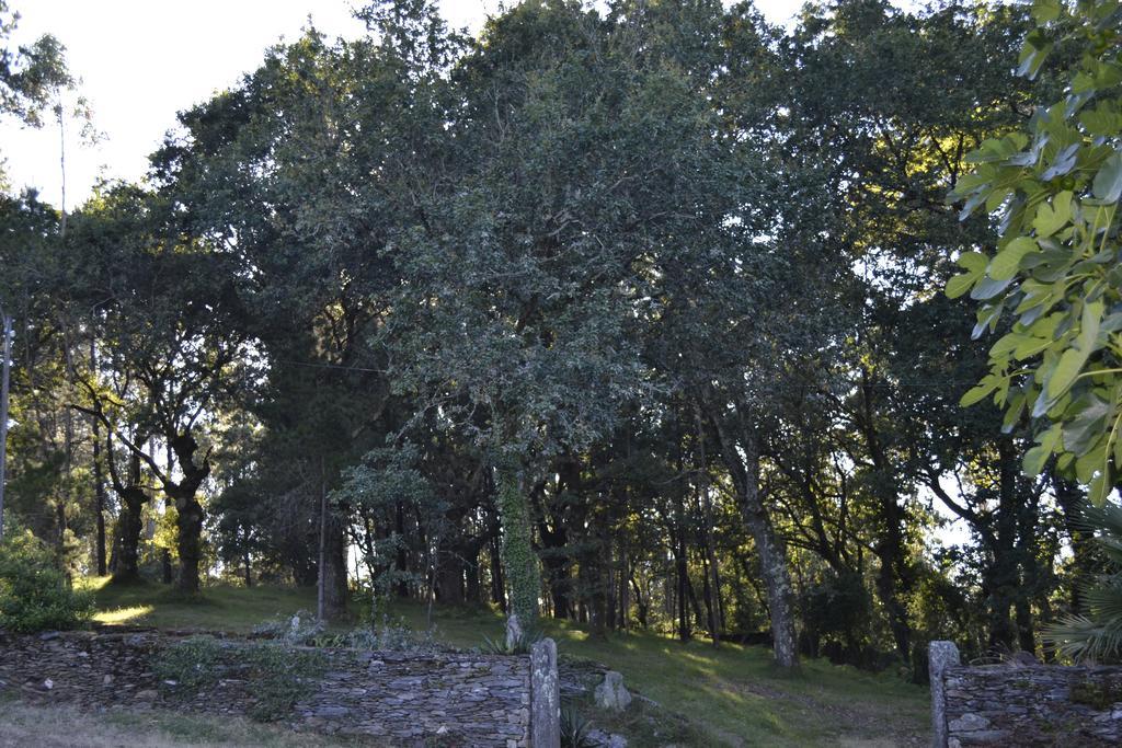 A Pena De Augasantas ξενώνας Oca de Abaixo Εξωτερικό φωτογραφία